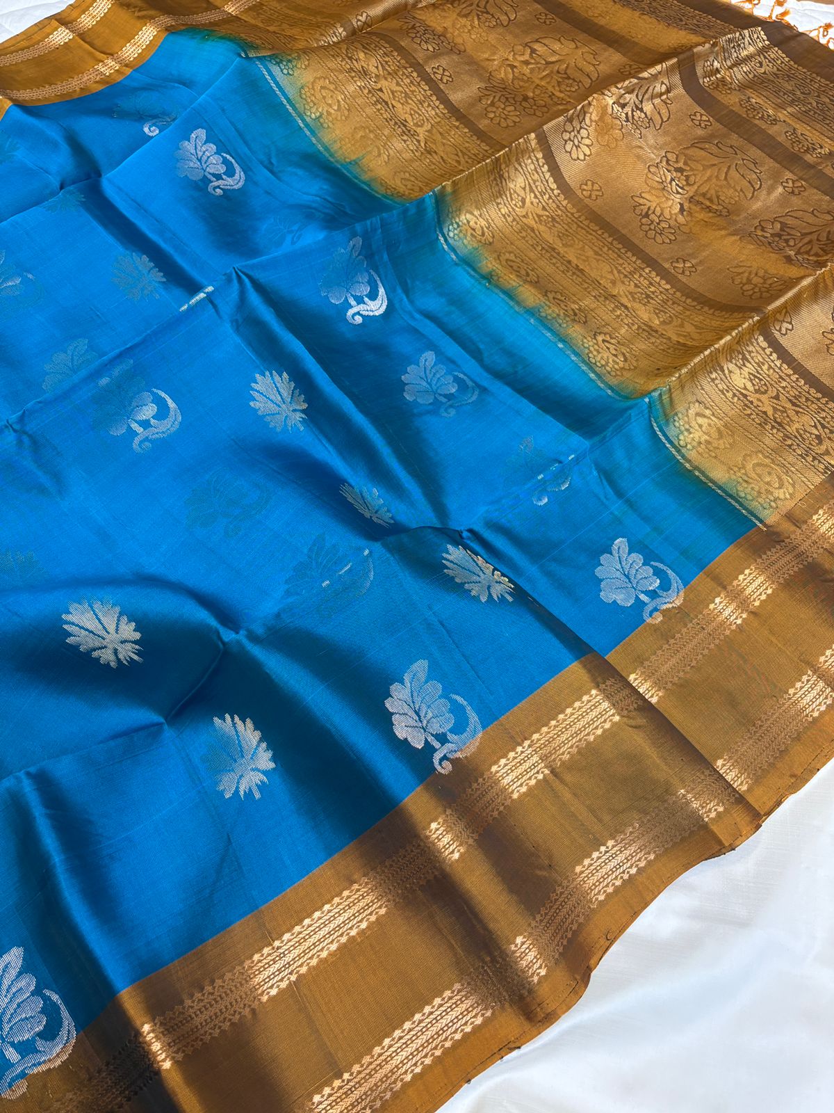 Blue Mustard Rettapet