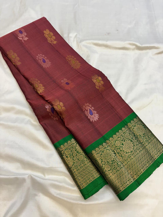 Kanchi Border Silk