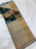 Shristi Ikkat Raw Silk