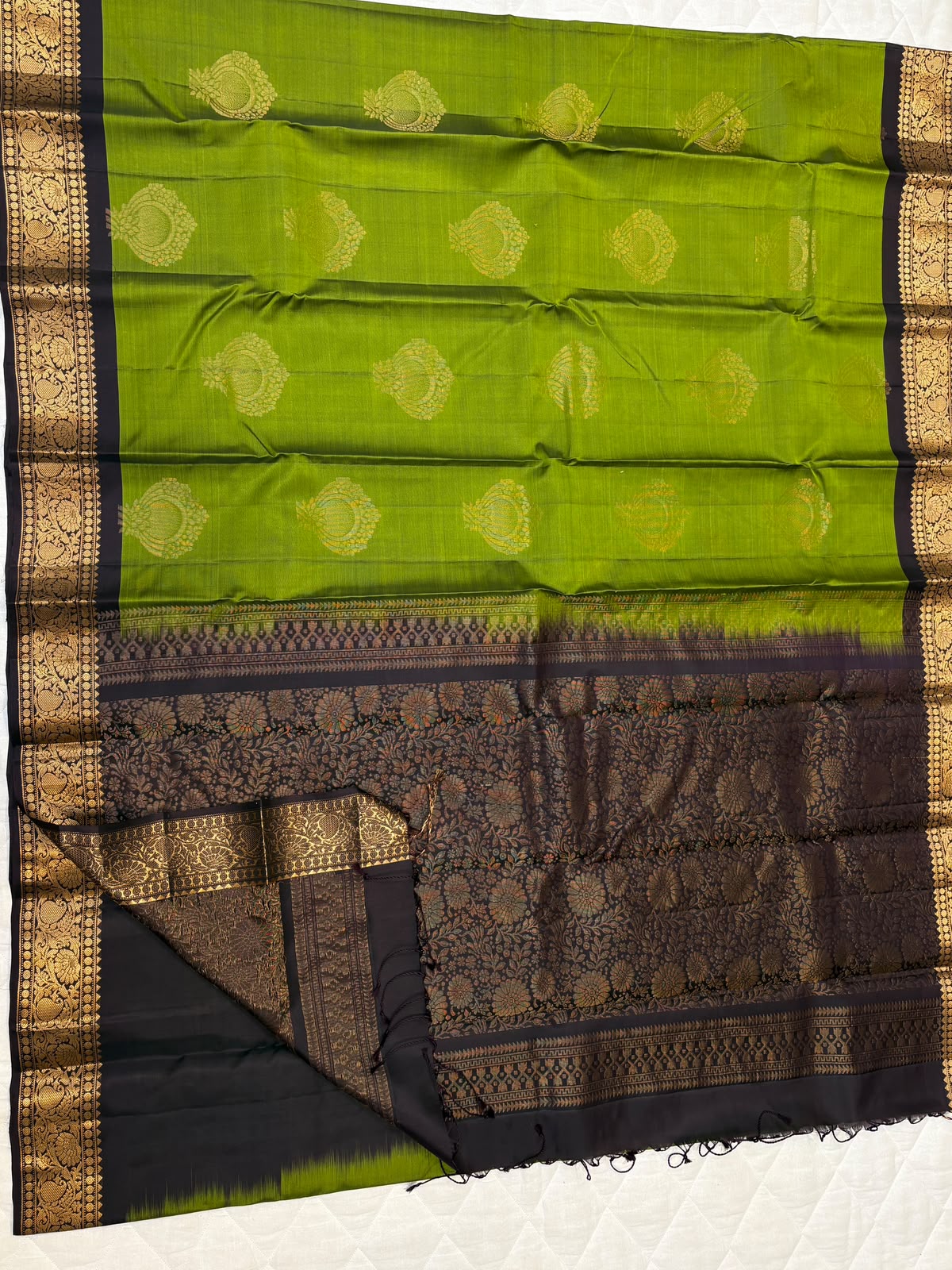Kanchi Border Soft Silk