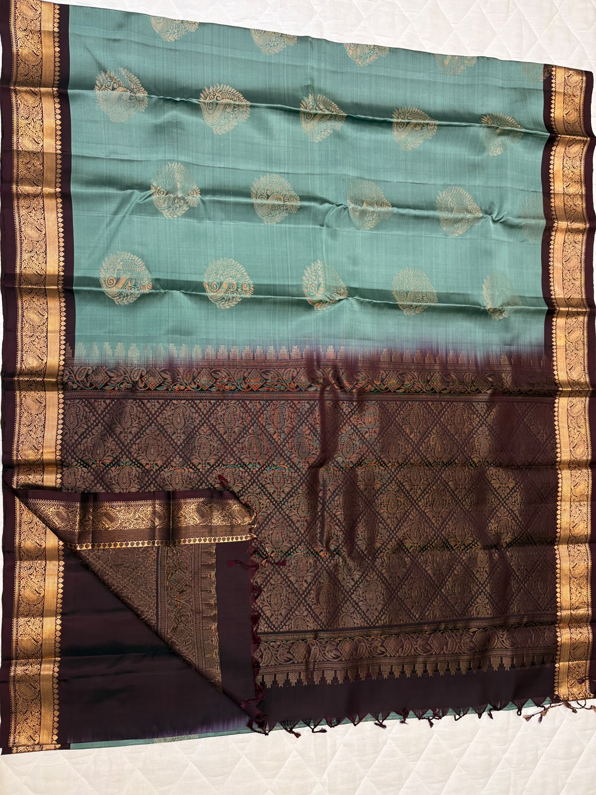 Kanchi Border Soft Silk