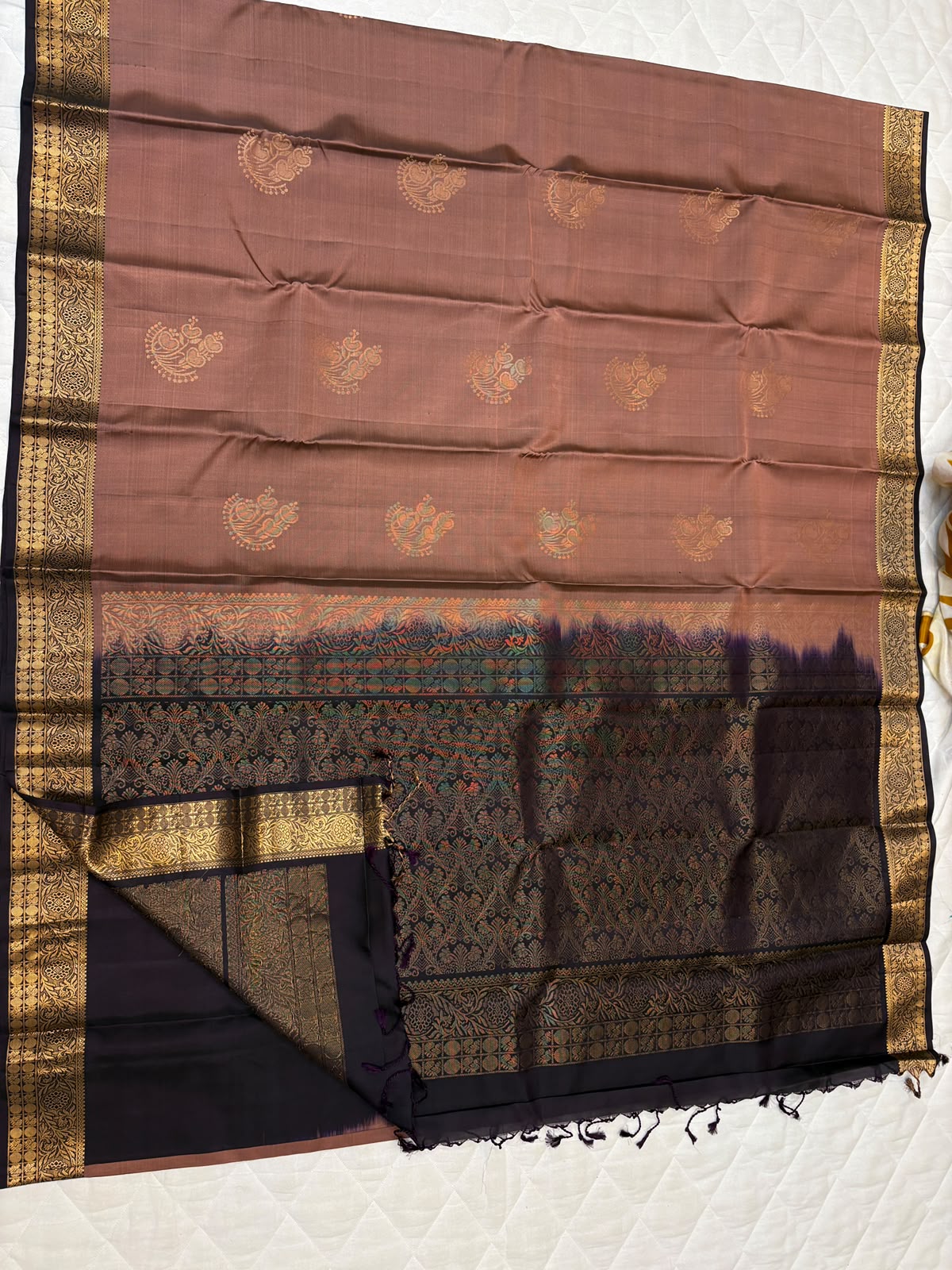 Kanchi Border Soft Silk
